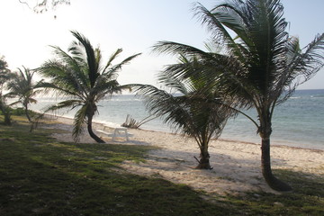 Fototapeta na wymiar tropical island summer beach sun