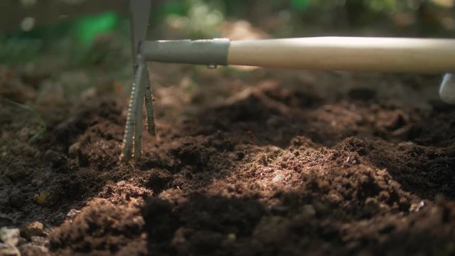 Close-up view of hoe in dirt weeding between radishes. Hoe weeding in between rows of vegetables