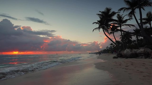 Landscape of paradise tropical island beach