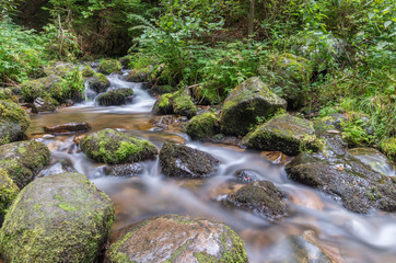 Cascade du Hohwald 11