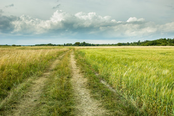 Ground path through fields and gray clouds and sky