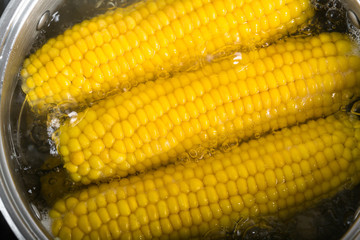 Boiled corn on the cob, saucepan with boiling water, close-up