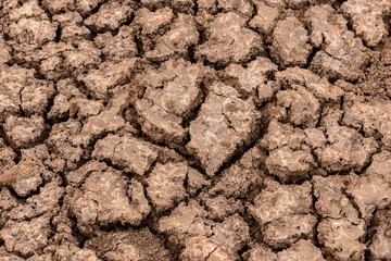Cracked Soil Drought. Dry mud. Cracked ground.