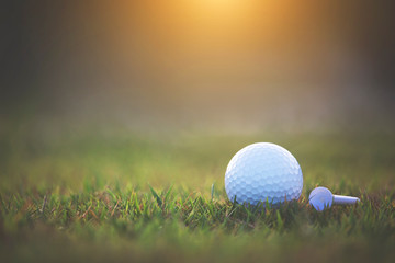 golf ball is on a green lawn in a beautiful golf course
