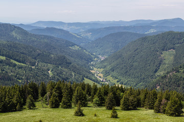 Fototapeta premium Tal im Schwarzwald