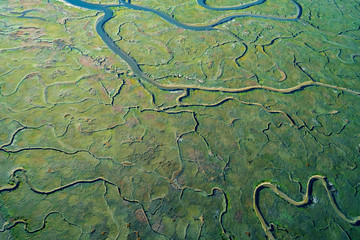 Estuary at Bair Island Marine Park in Redwood City, CA, aerial view