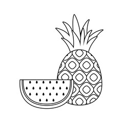 fresh slice of watermelon with pineapple fruits