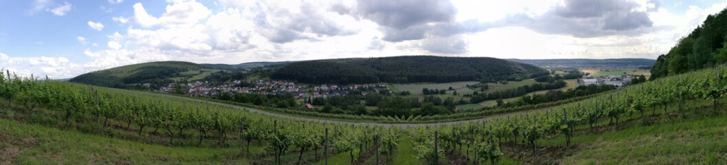 Fototapeta na wymiar Panoramablick über Weinberg von Elsenfeld Rück in Unterfranken