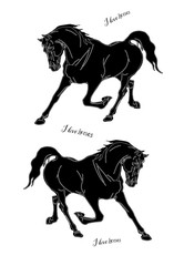  isolated images of black silhouettes of two running horses on white background and lettering