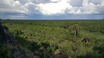 Obraz premium Aerial view from Chobe National Park