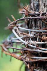 Background with an old rusty barbed wire reeled up on the wooden post