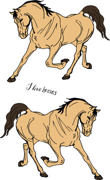  isolated image of color drawn by two running horses on a white background and lettering