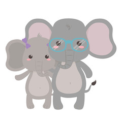 Couple of elephants design vector illustrator
