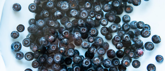 fresh blueberries on a blue plate soaked in water. Preparation of blueberries before use © contentdealer
