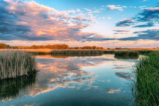 Laguna en el Parque Nacional de las Tablas de Daimiel. Ciudad Real. Espa&ntilde;a.