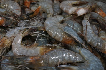 Fresh srimp background. Shrimps in a local market of tropical