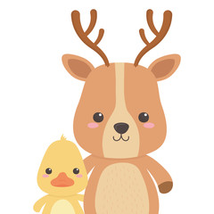 Duck and reindeer cartoon design