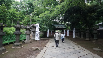 Fototapeta premium 上野東照宮