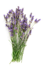 A fresh bouquet of blooming lavender flowers, shot from the top on a white background with a place for text