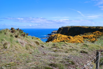 Fototapeta na wymiar Beautiful Irish cliffs overlooking the sea