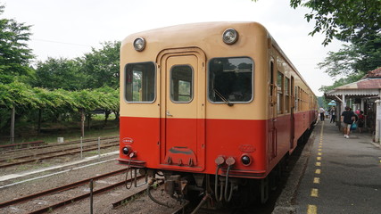 Obraz premium 小湊鉄道