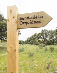 A wooden signpost in Spanish means trail of the orchids - Image