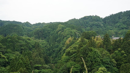 千葉養老渓谷の森