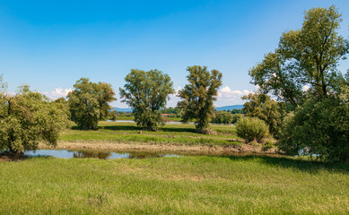 Beautiful view near Osterhofen - Bavaria - Germany