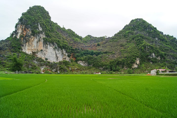 Viet Nam travel