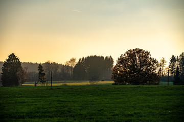 Moody Autumn Landscape in Bavaria  Horse