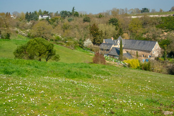 Obraz premium village in countryside