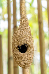 Bird nest hand craft made with straw.