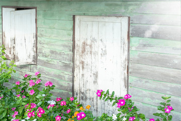 Flowers in front of old wooden front door and window