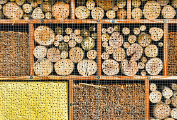 Close-up of a nesting aid for insects (insect hotel)