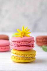 macaroons. delicious colored French macaroon pastries with a yellow flower on a white wooden table