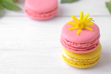 macaroons. delicious colored French macaroon pastries with a yellow flower on a white wooden table
