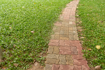 path in the garden