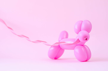 Balloon in the form of a dog on a leash from letochki.