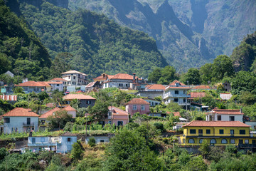 Fototapeta na wymiar Madeira Houses built into the green Forest