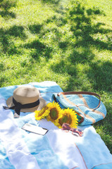 Summer picnic on the green grass with bright accessories.
