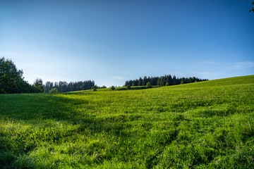 Bavarian rural landscape  in Summer