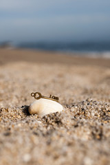Fototapeta na wymiar Shell, love key in sands