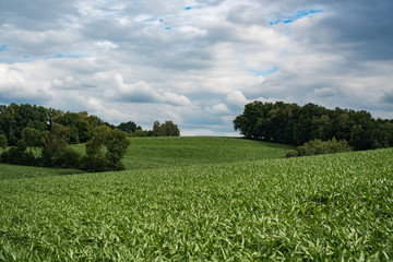 Bavarian rural landscape corn fields