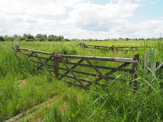 The fens in East Anglia