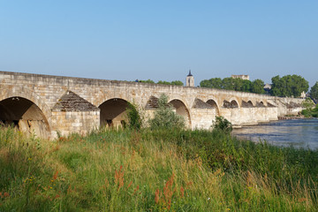 Fototapeta na wymiar Beaugency old bridge and Loire river bank
