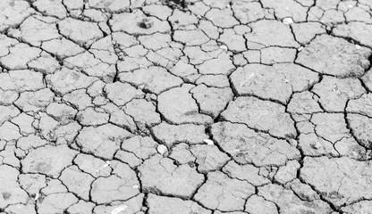 Cracked soil as an abstract background