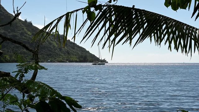 Sailboat, Catamaran, Moorea, Tahiti, French Polynesia
