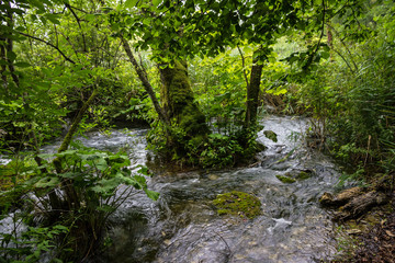 Fototapeta na wymiar Plitvice lakes, waterfall green landscape, Croatia national park.