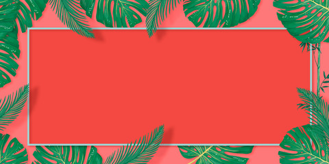 Tropical palm leaves frame on coral backdrop. Summer tropical leaf. Exotic hawaiian jungle, summertime background. Pastel monochrome art colorful minimal style, White frame square. Banner for text