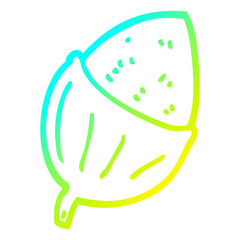 cold gradient line drawing cartoon acorn